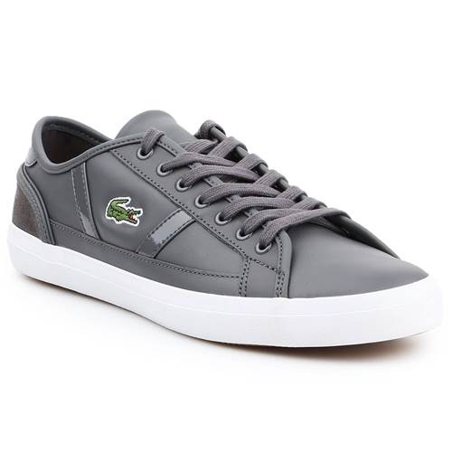 Chaussure Lacoste Sideline