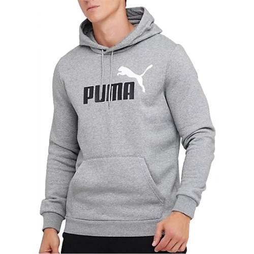Puma Ess 2 Col Big Logo Hoodie Gris
