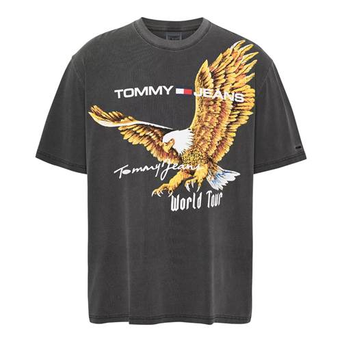T-shirt Tommy Hilfiger DM0DM17737PUB