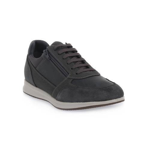 Chaussure Geox Avery A