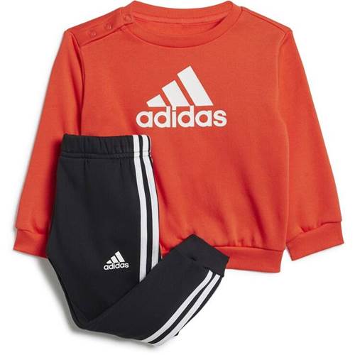 Adidas IS2518 Noir,Orange
