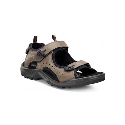 Chaussure Ecco Offroad