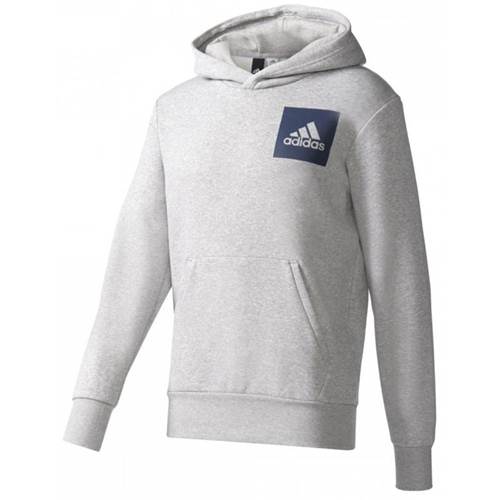 Adidas Essentials Chest Logo Pullover Hood Fleece M B45729