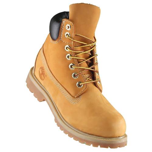 Chaussure Timberland 6 IN Prem