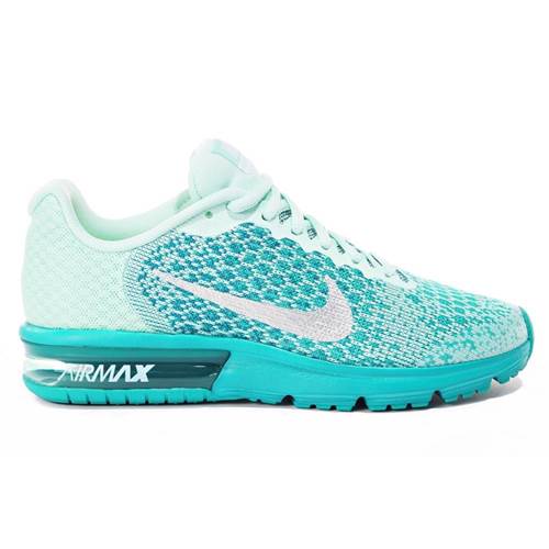 Nike Air Max Sequent 2 GS 869994301
