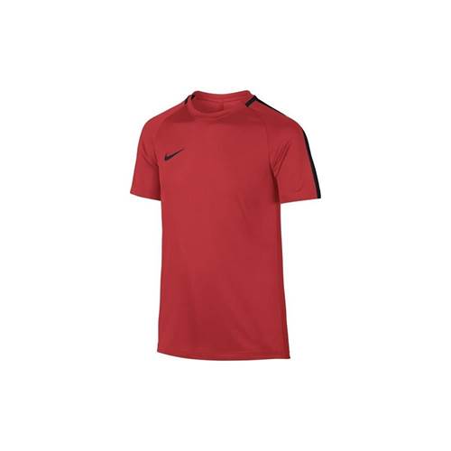 Nike Y Dry Academy Top SS 832969696