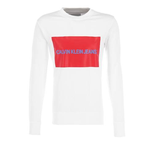 Calvin Klein Institutional Box Logo Sweatshirt j30j307744