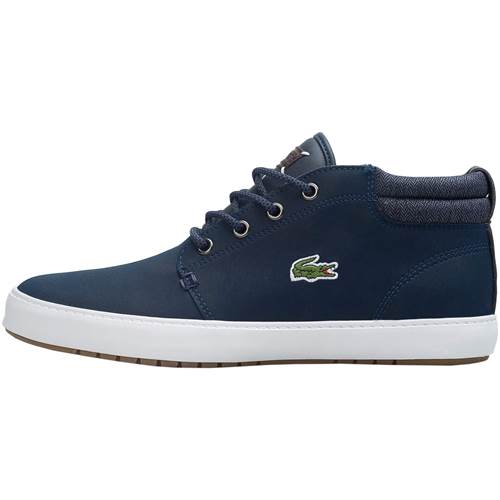 Lacoste Ampthill Terra 736CAM0005ND1