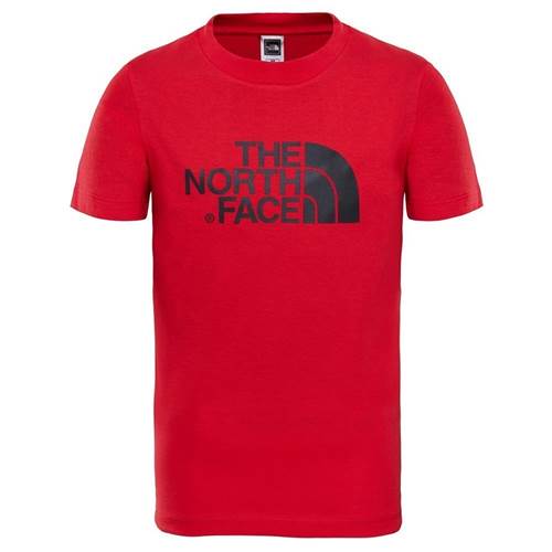 The North Face Easy Tee NF0A2TX3KZ3