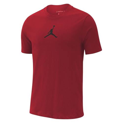 Nike Jordan Jumpman Dfct BQ6740687