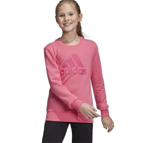 Sweat Adidas Must Haves Badge OF Sport