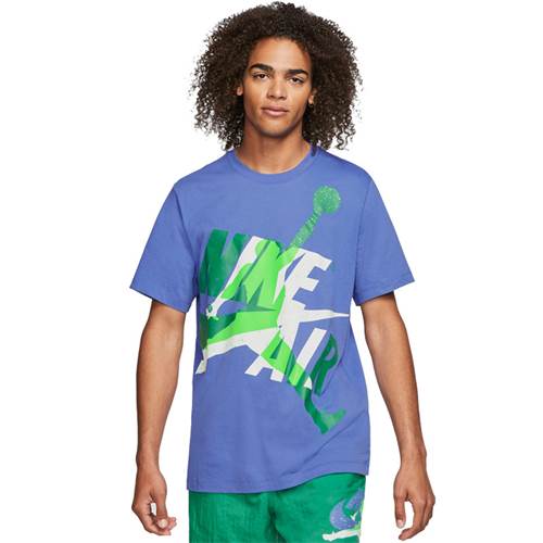 Nike Jordan Jumpman Classics Vert,Bleu