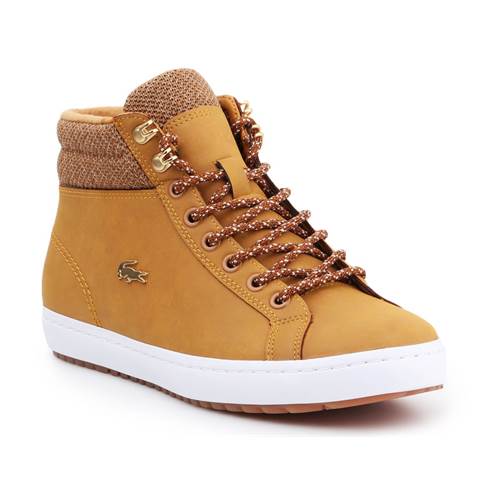 Lacoste Straightset Insulatec Caw Tan 736CAW0045355
