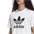 Adidas Trefoil Tshirt (6)