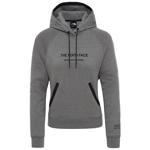 The North Face W Nse Graphic Pullover Hoodie NF0A3XDEDYY1