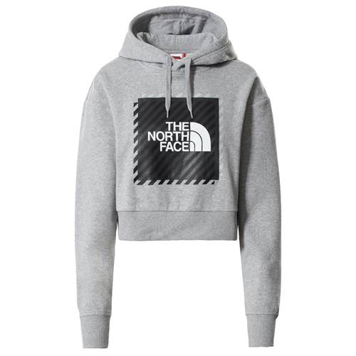 The North Face W Coordinates Crop Hoodie NF0A5ICPDYX