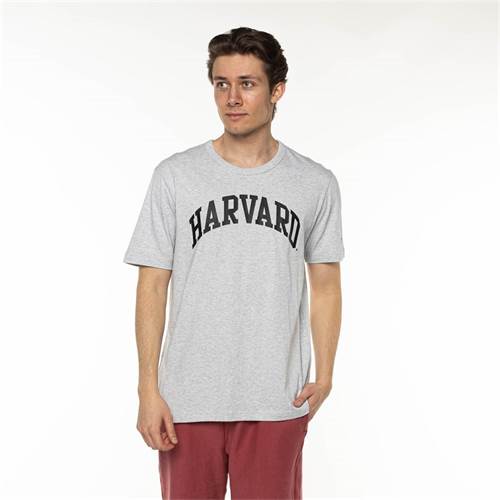 T-shirt Champion Harvard