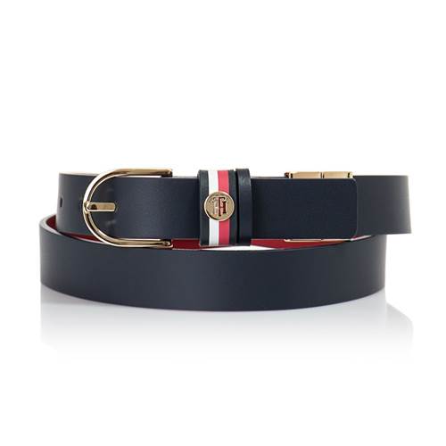 Ceinture Tommy Hilfiger AW0AW105820GY