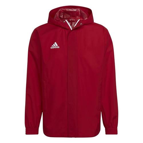 Adidas Entrada 22 All Weather Rouge