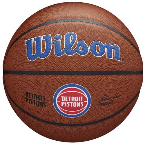 Balon Wilson Team Alliance Detroit Pistons