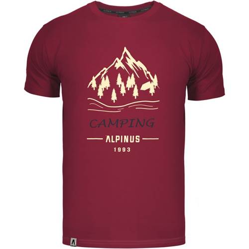 T-shirt Alpinus Polaris M