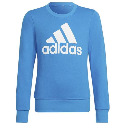 Adidas Big Logo Bleu