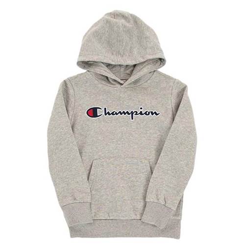 Champion Hooded Sweatshirt Gris