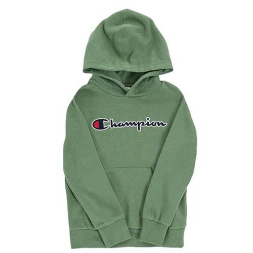 Champion Hooded Sweatshirt Vert