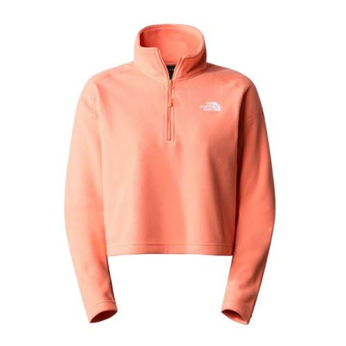 Sweat The North Face 100 Glacier Cropped Zip W