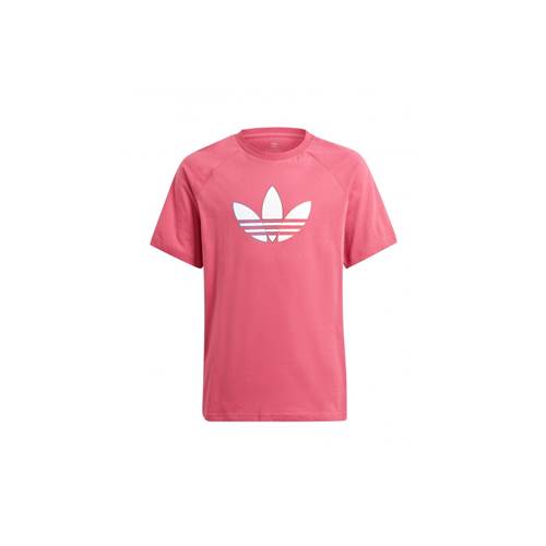 T-shirt Adidas Adicolor Graphic Tee