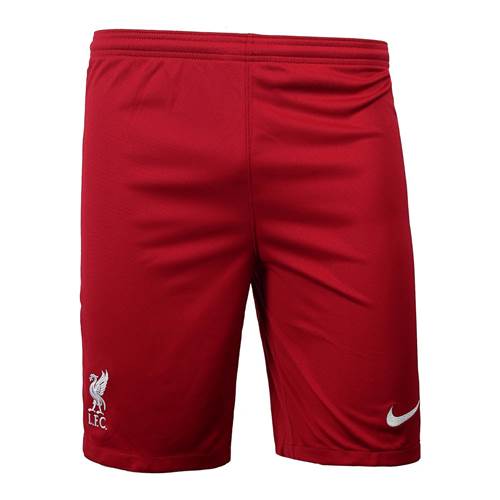 Pantalon Nike Liverpool FC 2021 Breathe Home Stadium JR