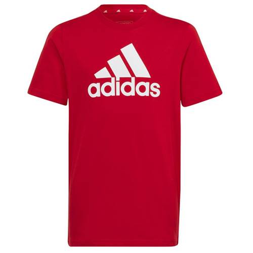 T-shirt Adidas Big Logo Tee JR
