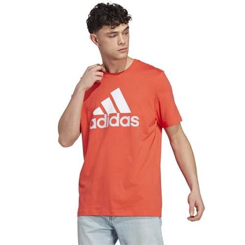 T-shirt Adidas Big Logo SJ