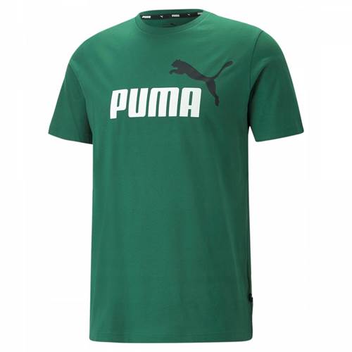 Puma Ess 2 Col Logo Tee Vert