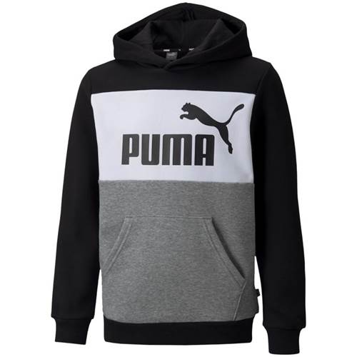 Sweat Puma Ess Block Hoodie FL B JR