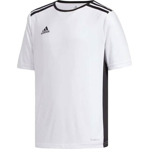 T-shirt Adidas CF1044