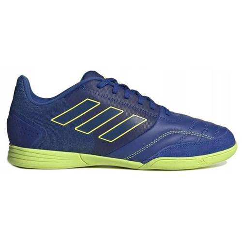 Adidas buty halówki gy9036 halowe top sala competition Bleu marine