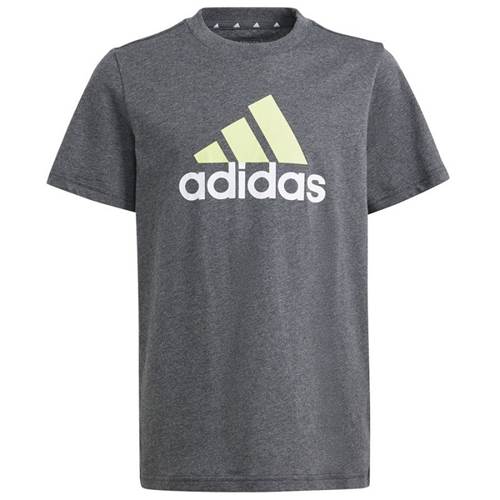 T-shirt Adidas Big Logo Tee Jr