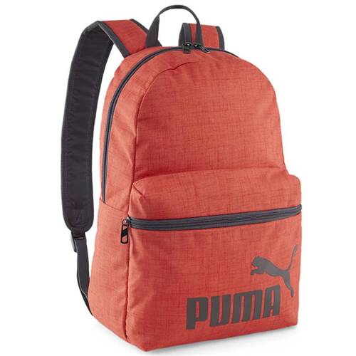 Sac a dos Puma Phase Backpack Iii 090118-02