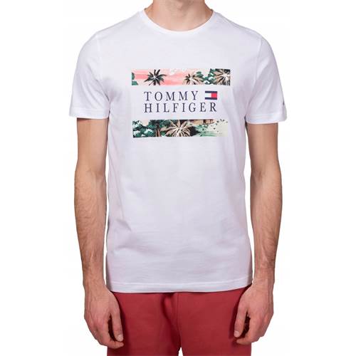 T-shirt Tommy Hilfiger XM0XM01949YBR