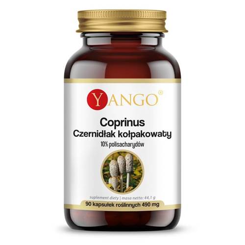 Compléments alimentaires Yango Coprinus