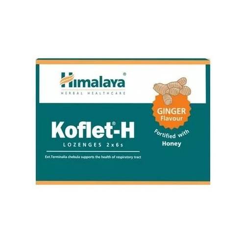 Compléments alimentaires Himalaya Koflet-h