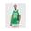Mitchell & Ness Nba Boston Celtics Swingman Jersey Celtics 07 Ray Allen (2)