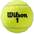 Wilson Roland Garros All Court 3