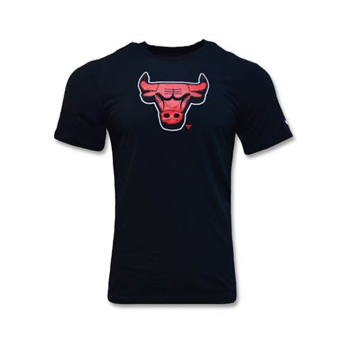 Nike Nba Chicago Bulls Essential Dry-fit Noir