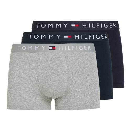 Sousvêtements Tommy Hilfiger TRUNK WB