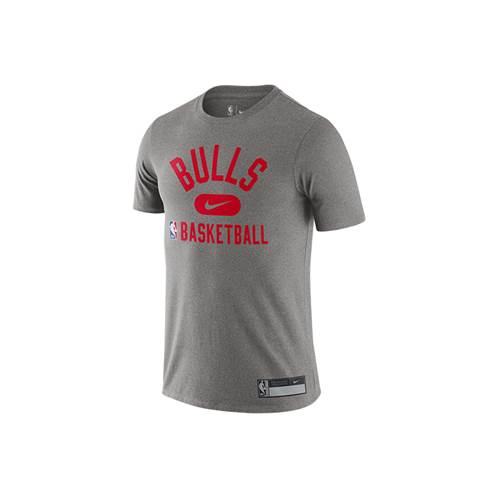 Nike Nba Chicago Bulls Gris