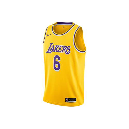 T-shirt Nike Nba Los Angeles Lakers Lebron James Swingman